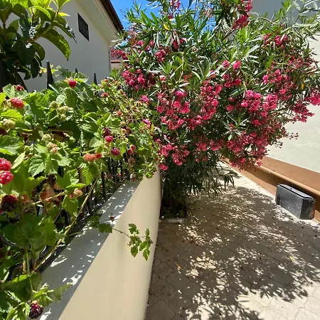 No8 Private Pool Βίλα